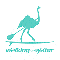 https://www.facebook.com/walkingonwatersup/